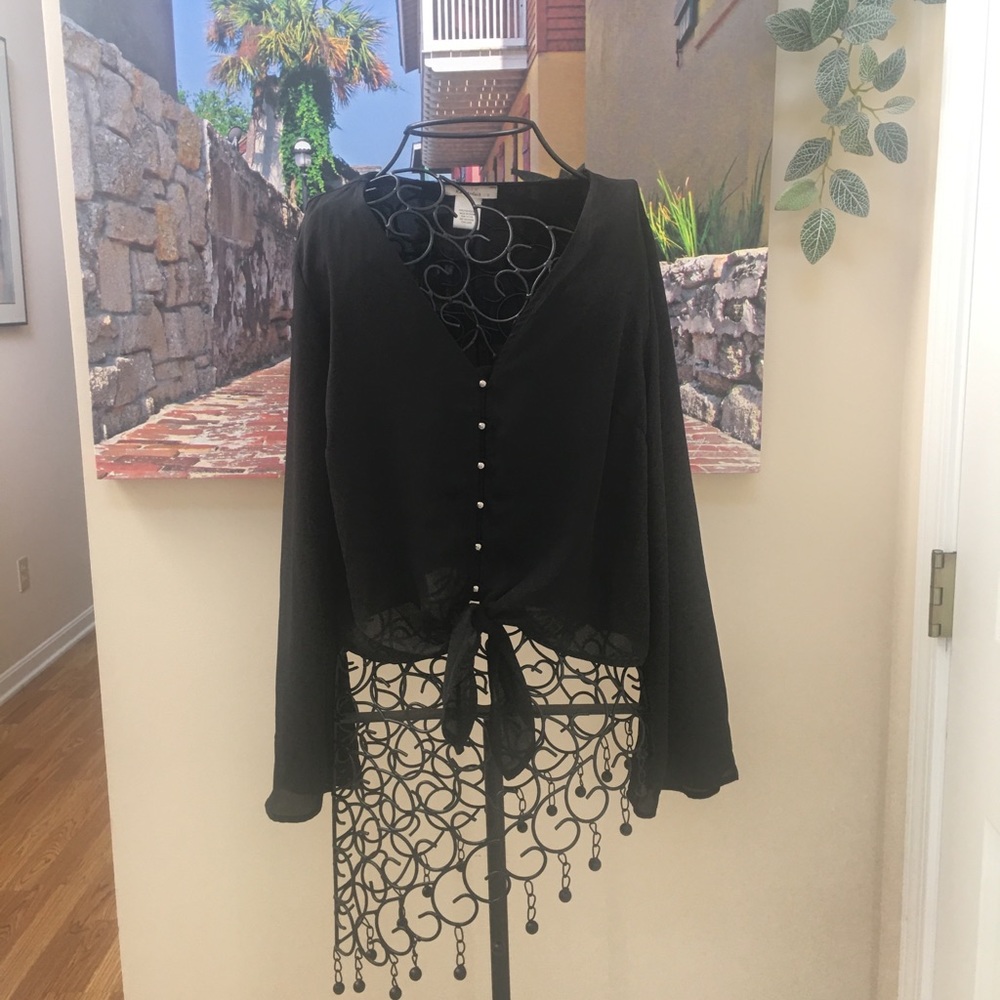 Sheer V Neck Blouse With Bell Sleeves Size Small.